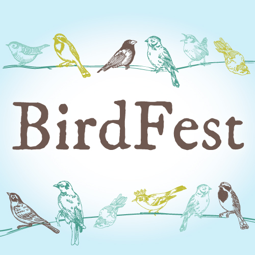 BirdFest